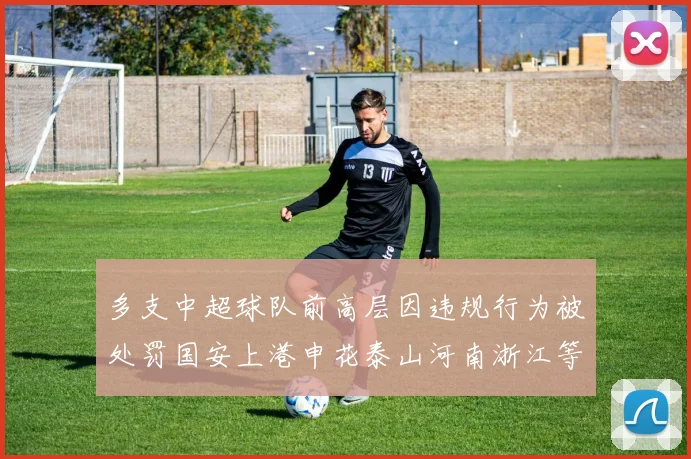多支中超球队前高层因违规行为被处罚国安上港申花泰山河南浙江等队受影响