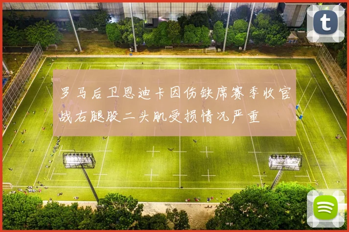 罗马后卫恩迪卡因伤缺席赛季收官战右腿股二头肌受损情况严重