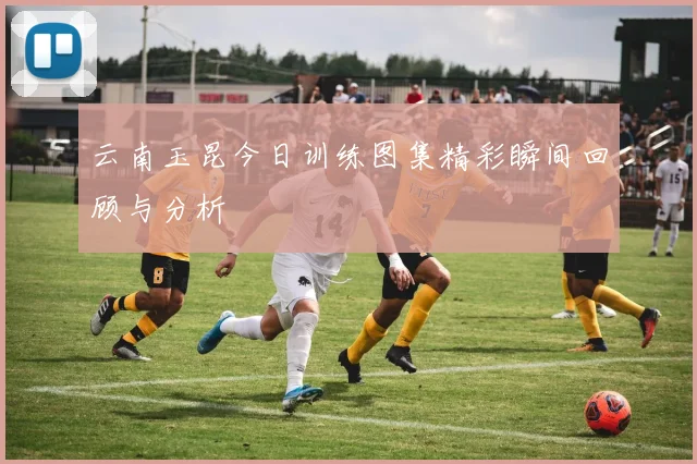 云南玉昆今日训练图集精彩瞬间回顾与分析